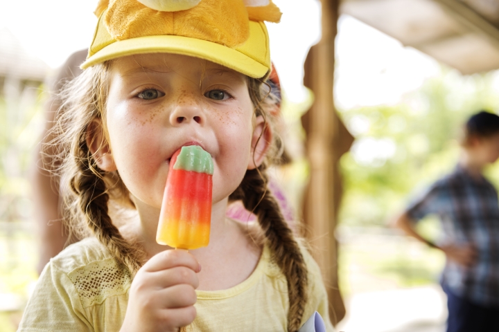 Fête familiale de La Bostonnais