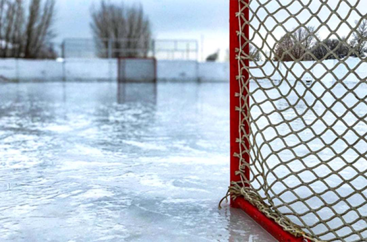Offre d'emploi patinoire